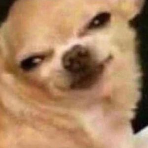 Meet your Posher, Devin